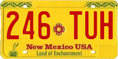 NM license plate 246TUH