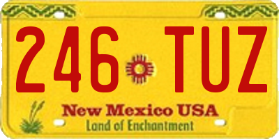 NM license plate 246TUZ