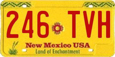 NM license plate 246TVH