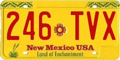 NM license plate 246TVX