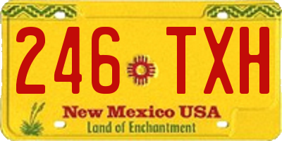 NM license plate 246TXH