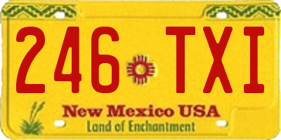 NM license plate 246TXI