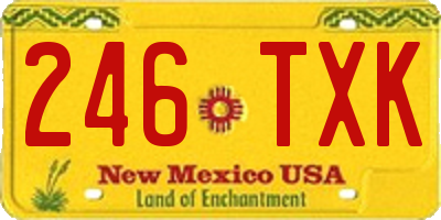 NM license plate 246TXK