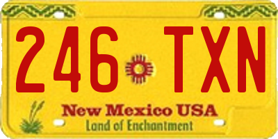 NM license plate 246TXN