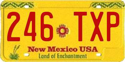 NM license plate 246TXP