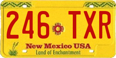NM license plate 246TXR