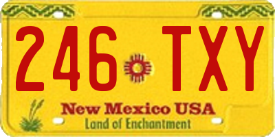 NM license plate 246TXY