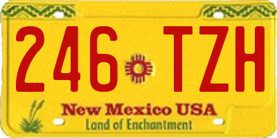 NM license plate 246TZH