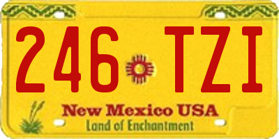 NM license plate 246TZI