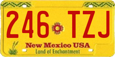 NM license plate 246TZJ