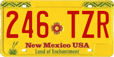 NM license plate 246TZR