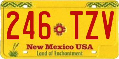 NM license plate 246TZV