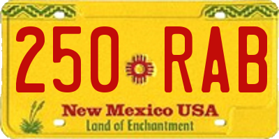 NM license plate 250RAB