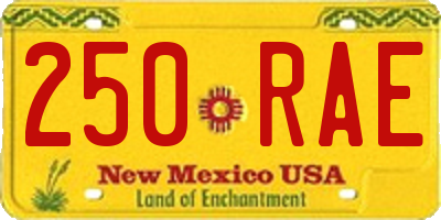 NM license plate 250RAE