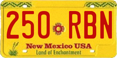 NM license plate 250RBN