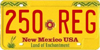 NM license plate 250REG