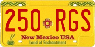NM license plate 250RGS