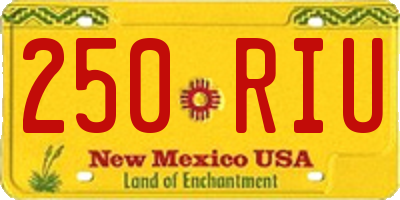 NM license plate 250RIU