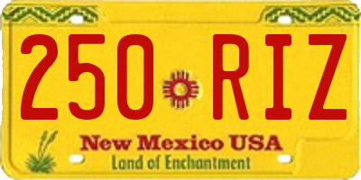 NM license plate 250RIZ