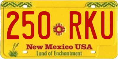 NM license plate 250RKU