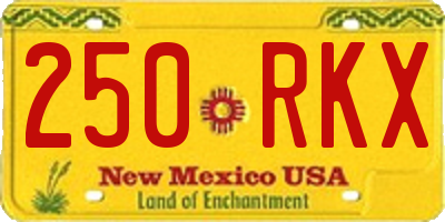 NM license plate 250RKX