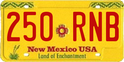 NM license plate 250RNB