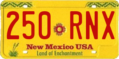 NM license plate 250RNX