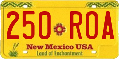 NM license plate 250ROA