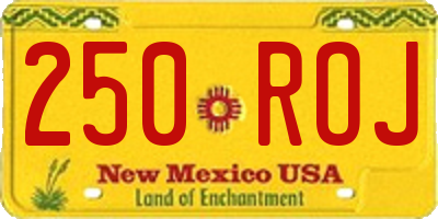 NM license plate 250ROJ