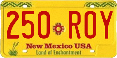 NM license plate 250ROY