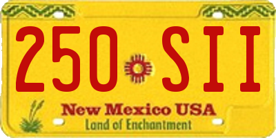 NM license plate 250SII