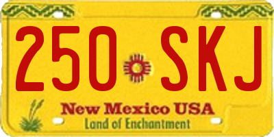 NM license plate 250SKJ