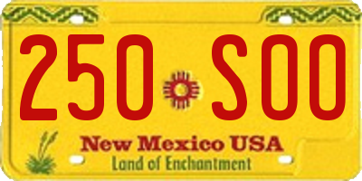 NM license plate 250SOO