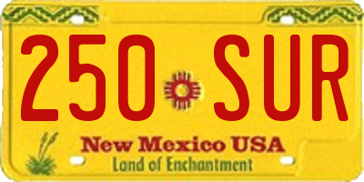 NM license plate 250SUR