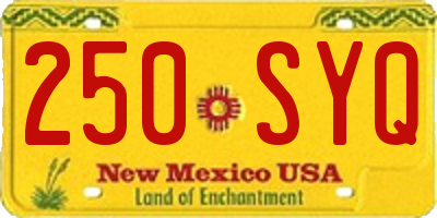 NM license plate 250SYQ