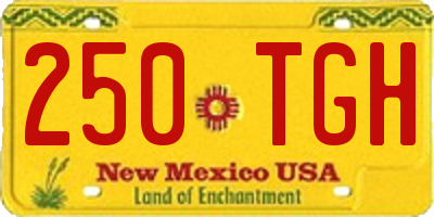 NM license plate 250TGH