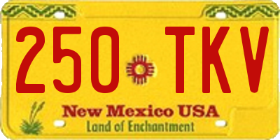 NM license plate 250TKV