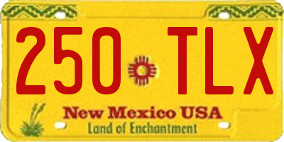 NM license plate 250TLX