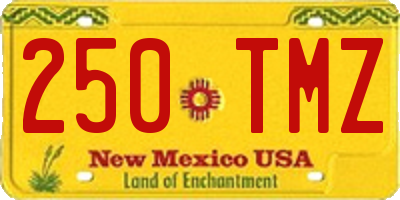 NM license plate 250TMZ