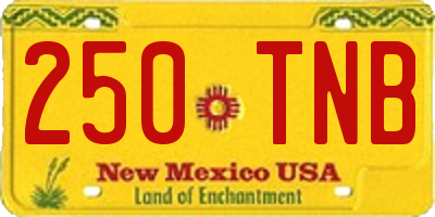 NM license plate 250TNB