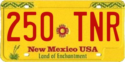 NM license plate 250TNR