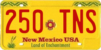 NM license plate 250TNS