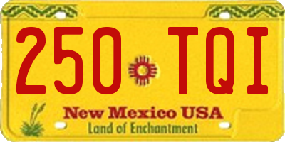 NM license plate 250TQI