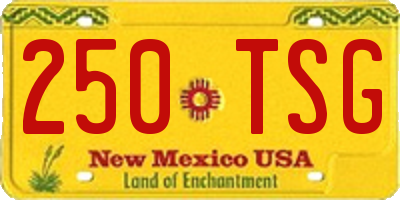 NM license plate 250TSG