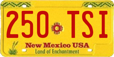 NM license plate 250TSI
