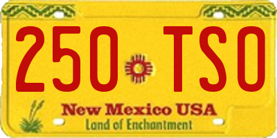 NM license plate 250TSO