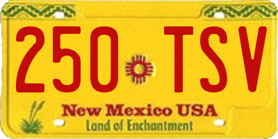 NM license plate 250TSV