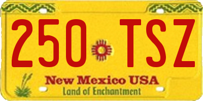 NM license plate 250TSZ