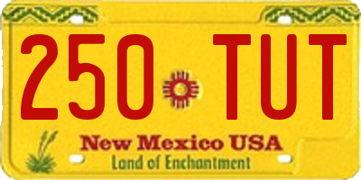 NM license plate 250TUT