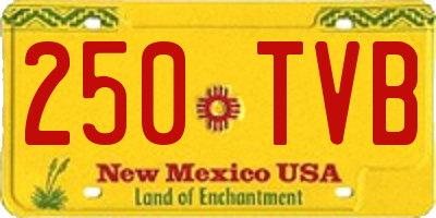 NM license plate 250TVB